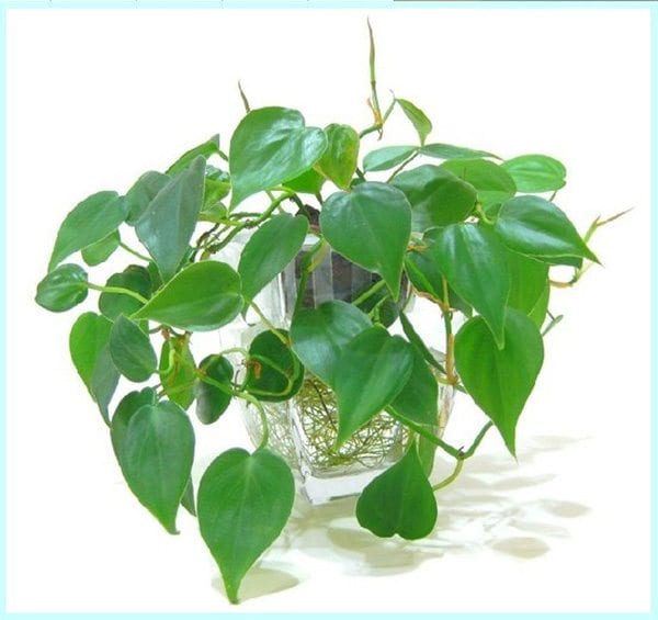 3 loại vật phẩm không được đặt trên bàn làm việc 2 20160509081500665