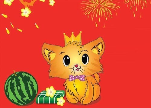 mau-sac-may-man-cho-12-con-giap-trong-nam-2017-k2-1482291372-width500height358